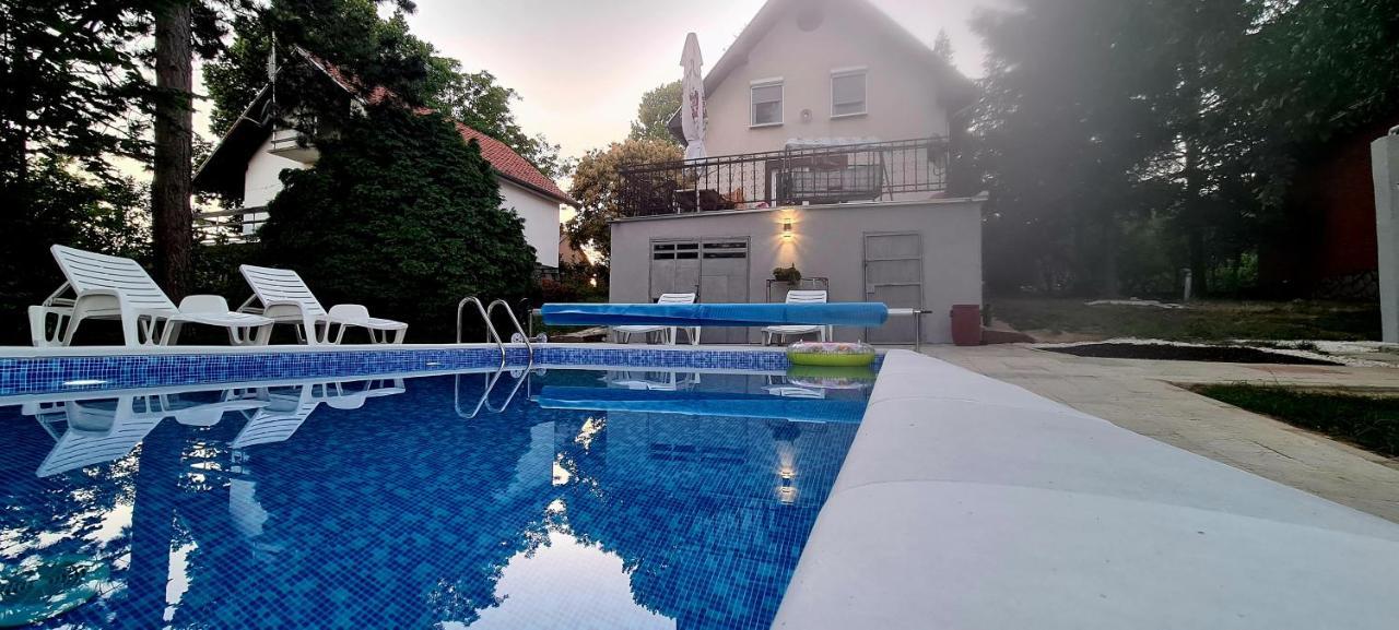 Vila Sinfonia, A House With A Pool Villa Velika Remeta Exteriör bild